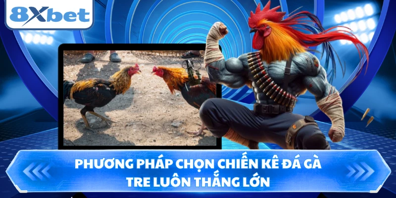Phương pháp chọn chiến kê đá gà tre luôn thắng lớn