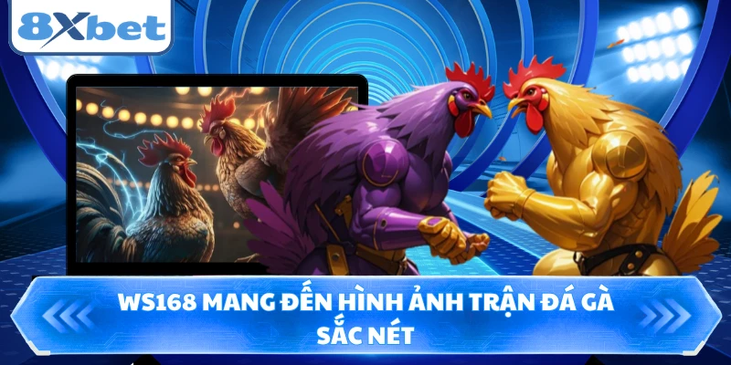 WS168 mang đến hình ảnh trận đá gà sắc nét